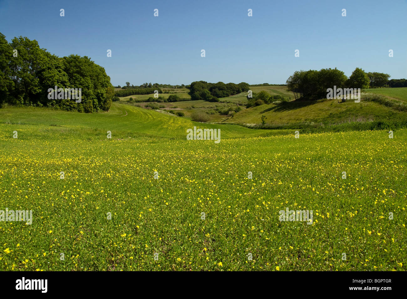 Danish early summer landscape. Jutland. Denmark Stock Photo