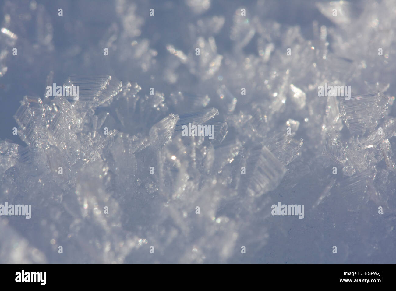 Macro close up of snow flakes Stock Photo