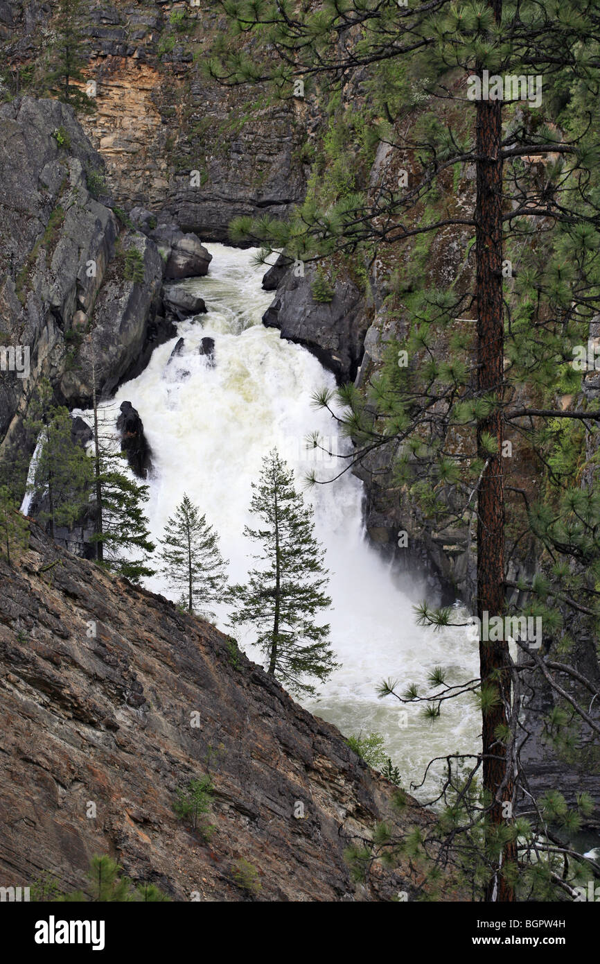 Moyie River Falls, on the Moyie River, near Bonners Ferry, Idaho Stock