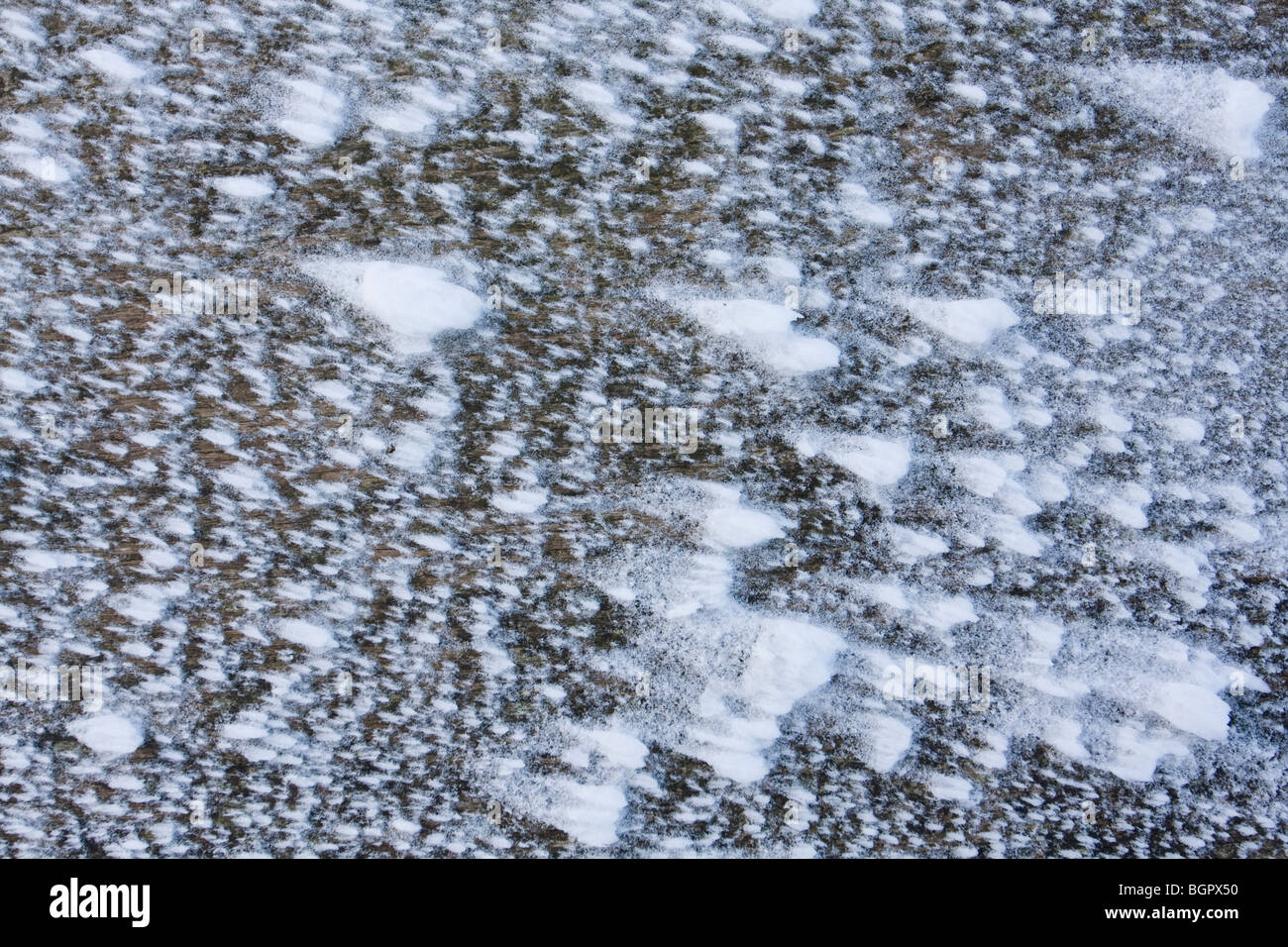 White snow covered bench showing pattern from wind on Malvern Hills, Worcestershire. Stock Photo