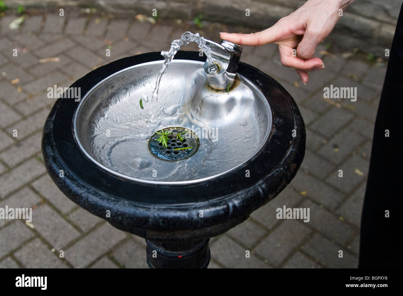 Pressing water fountain button Stock Photo Alamy