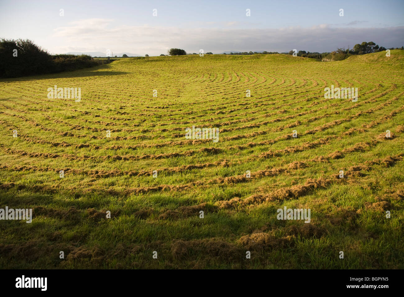 Castell Bryn Gwyn on Anglesey Stock Photo Alamy