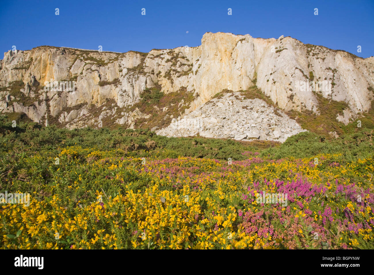 South Stack Mountains near Holyhead Stock Photo Alamy