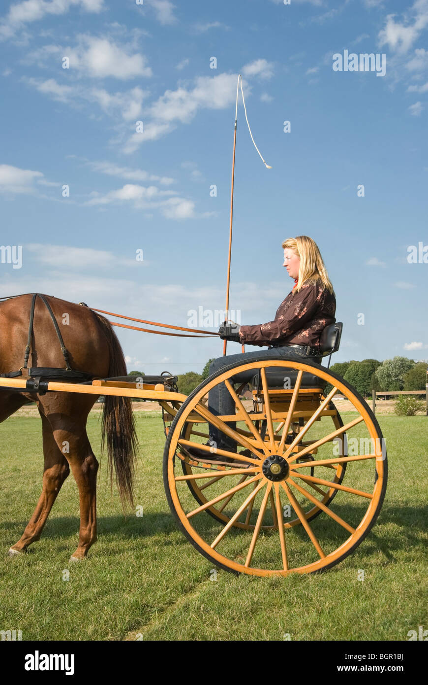 Horse whip woman hires stock photography and images Alamy
