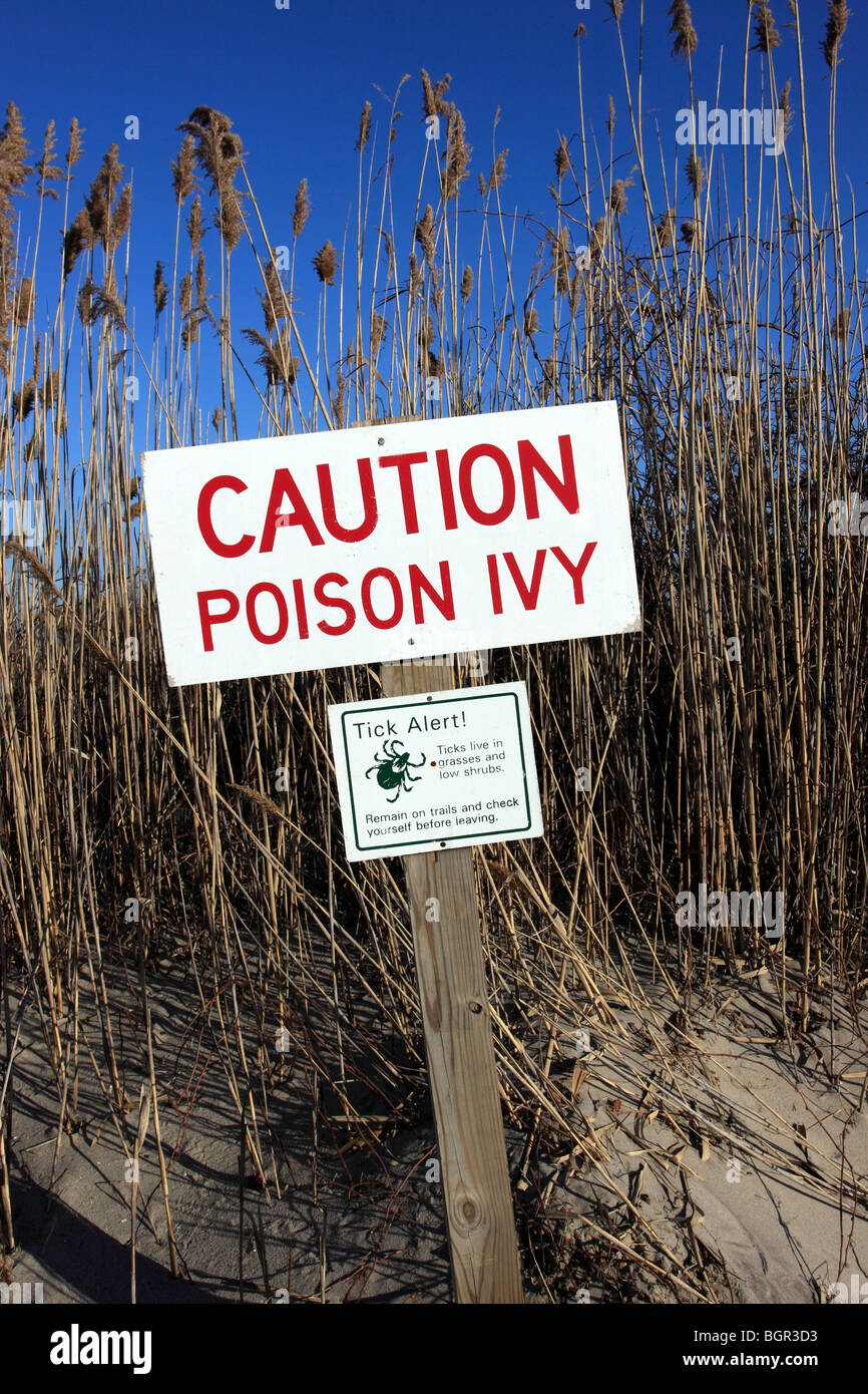 Sign warning of poison ivy and tick hazards, Long Island, NY Stock Photo
