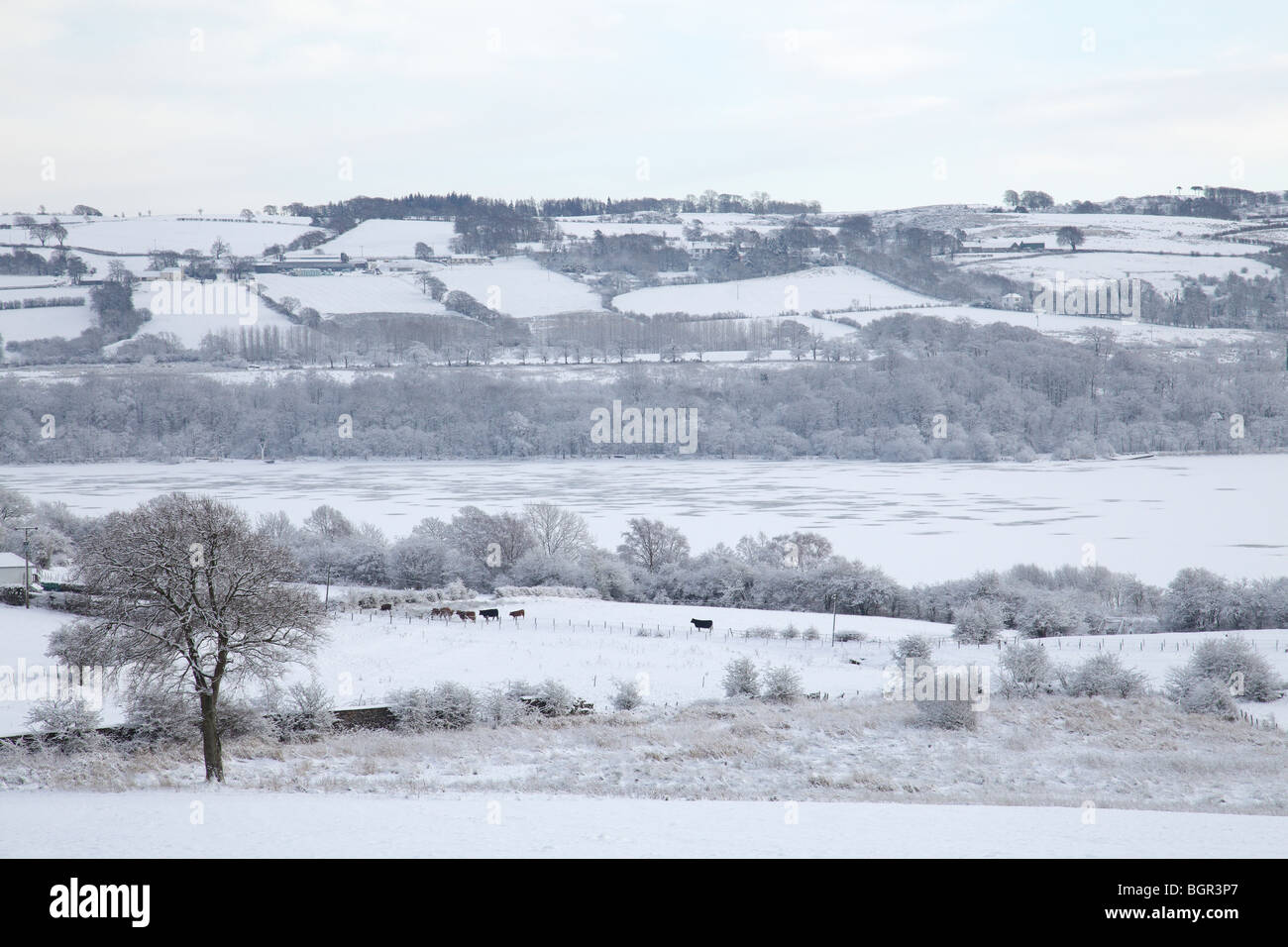 Snow landscape looking over a frozen Castle Semple Loch in winter, Scotland, UK Stock Photo