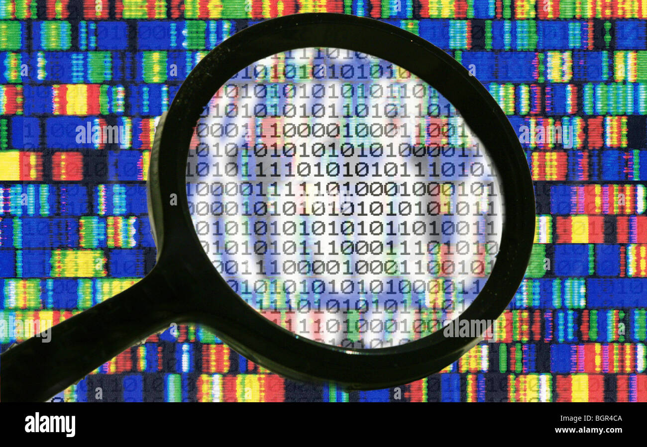 genotype, gene, genetic engineering, DNA-sequence Stock Photo