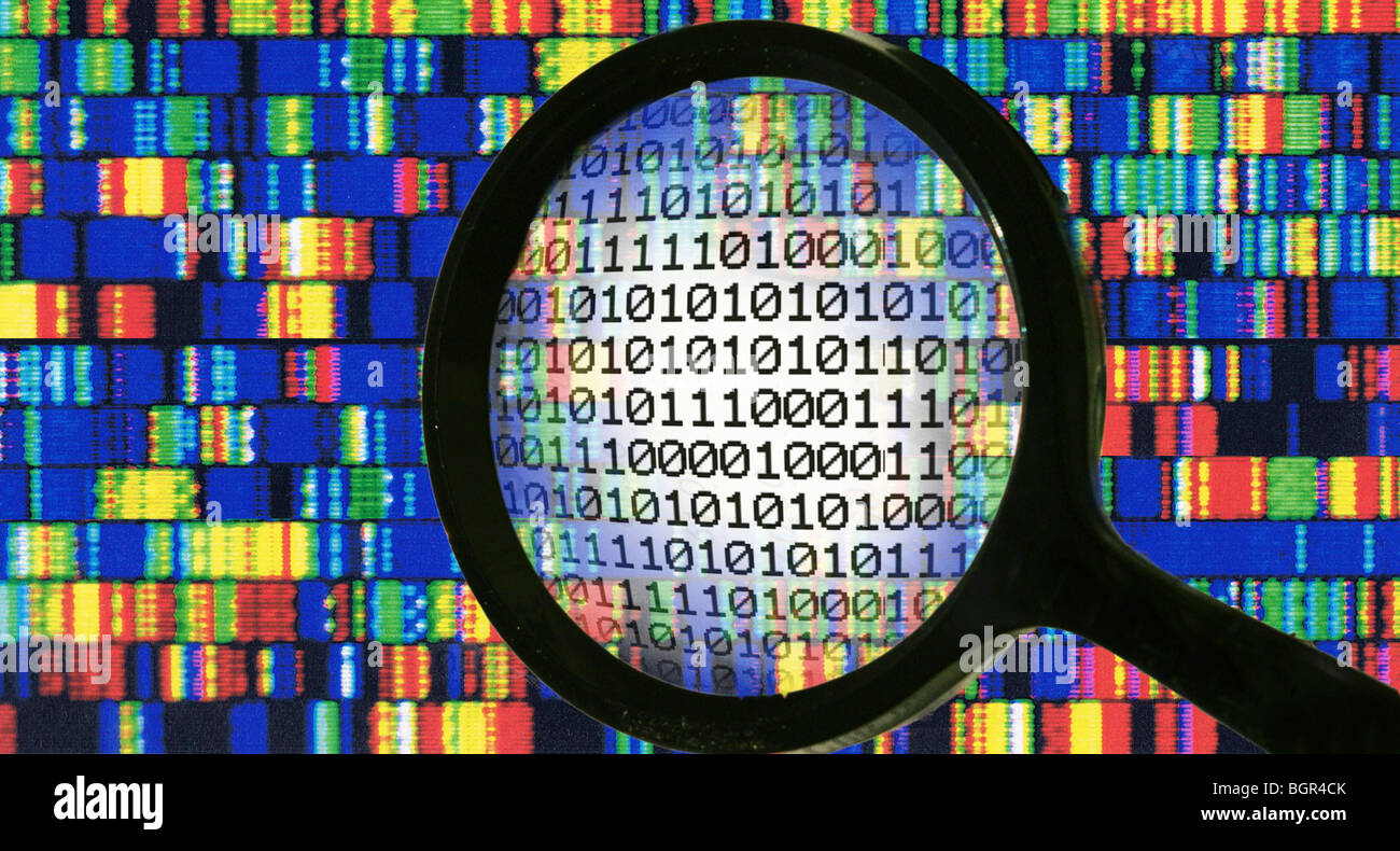 genotype, gene, genetic engineering, DNA-sequence Stock Photo