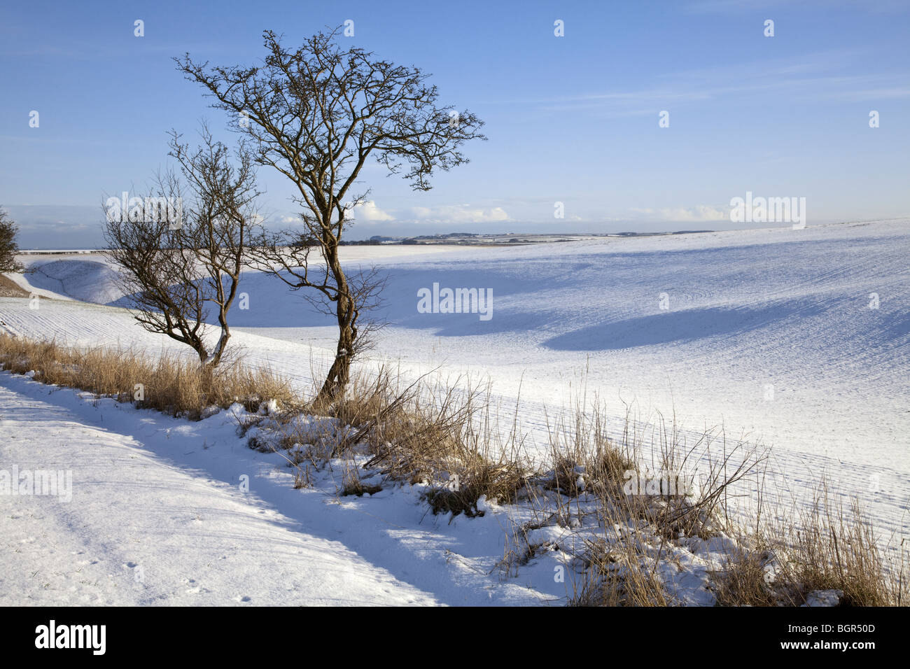 Snowy Raven Dale on the Yorkshire Wolds in North Yorkshire Route of the Wolds Way and Centenary Way long distance footpaths Stock Photo