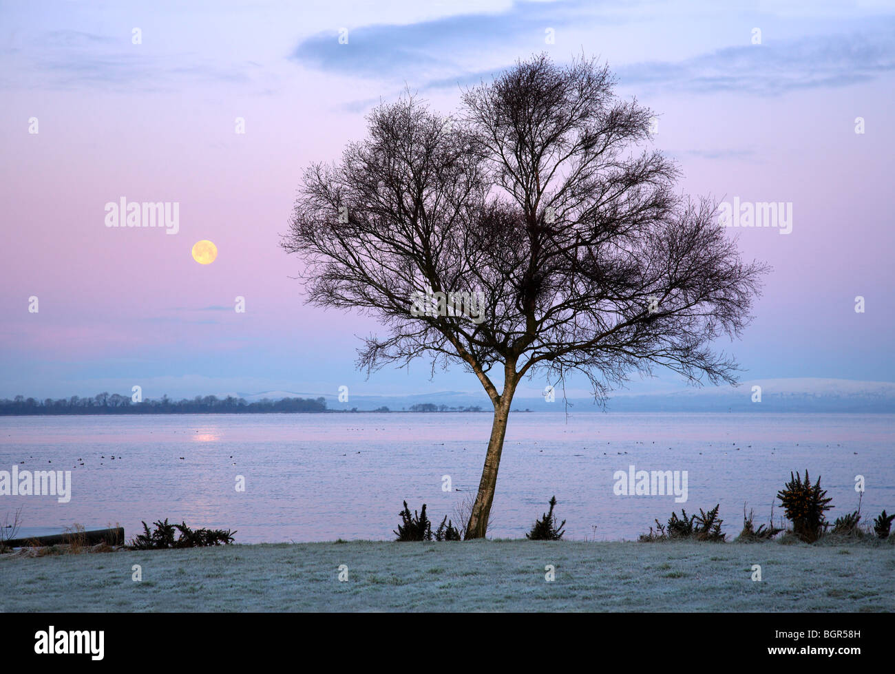 New Years moon over Lough Neagh, Oxford island. Stock Photo