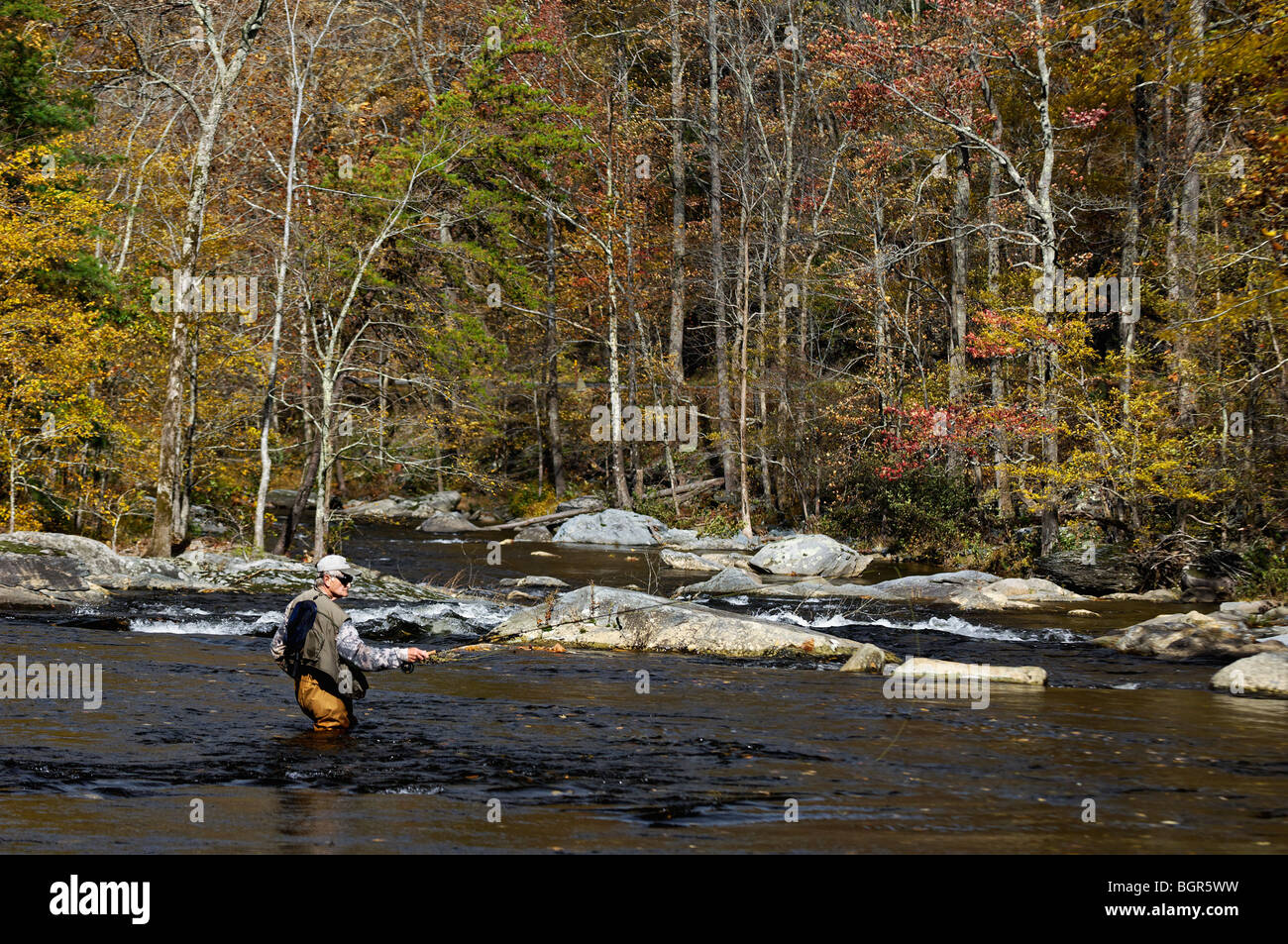 Fly Fisherman on the Tellico River in Monroe County, Tennessee Stock Photo