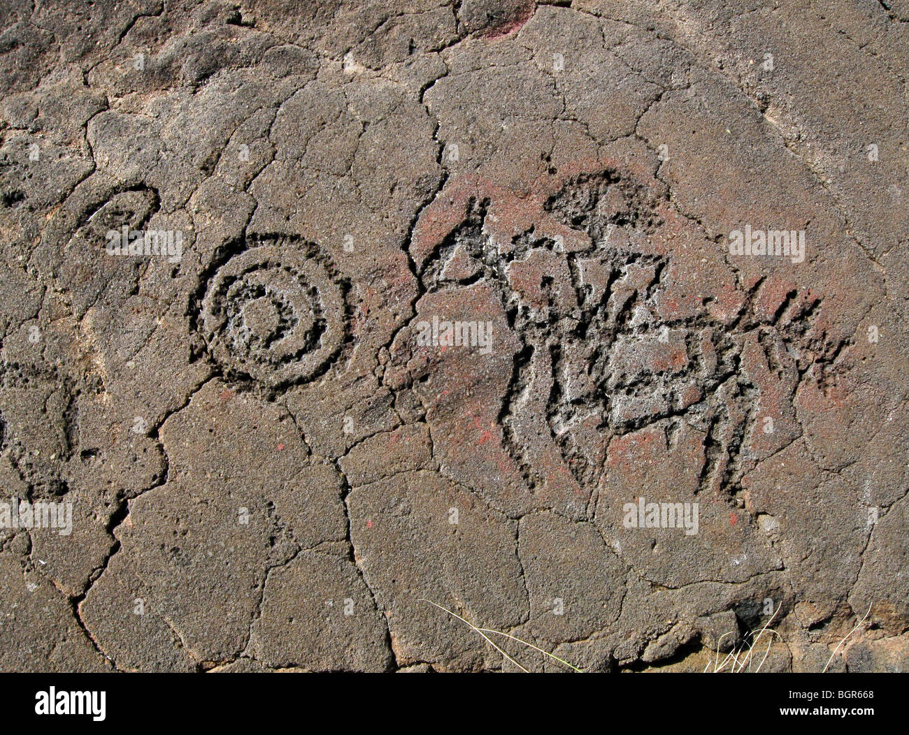 A petroglyph rock carving of a Spanish cowboy (paniolo) on the Big