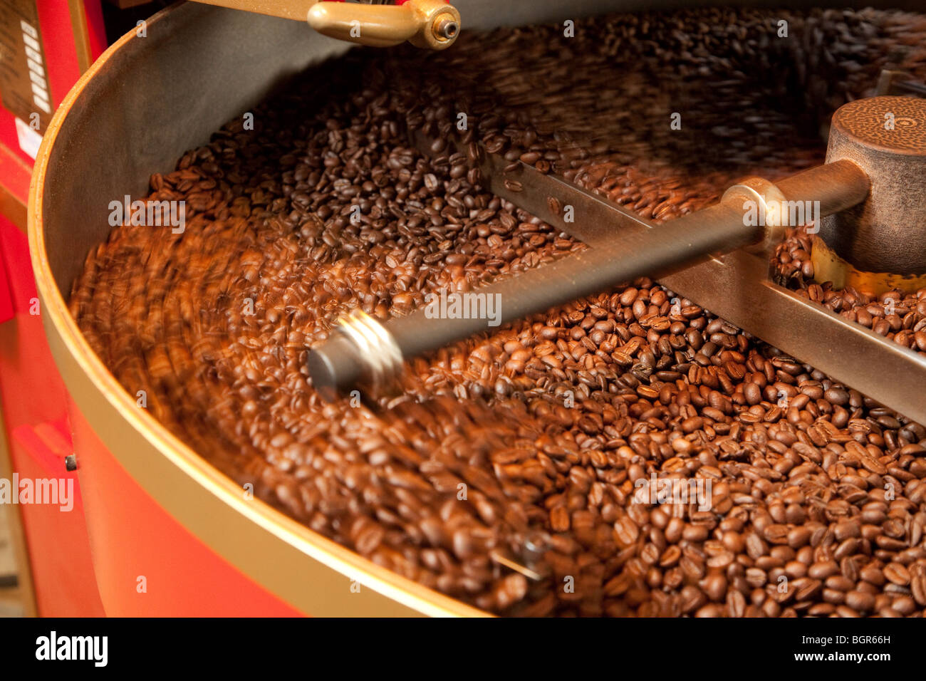 Coffee beans being processed by a machine Stock Photo