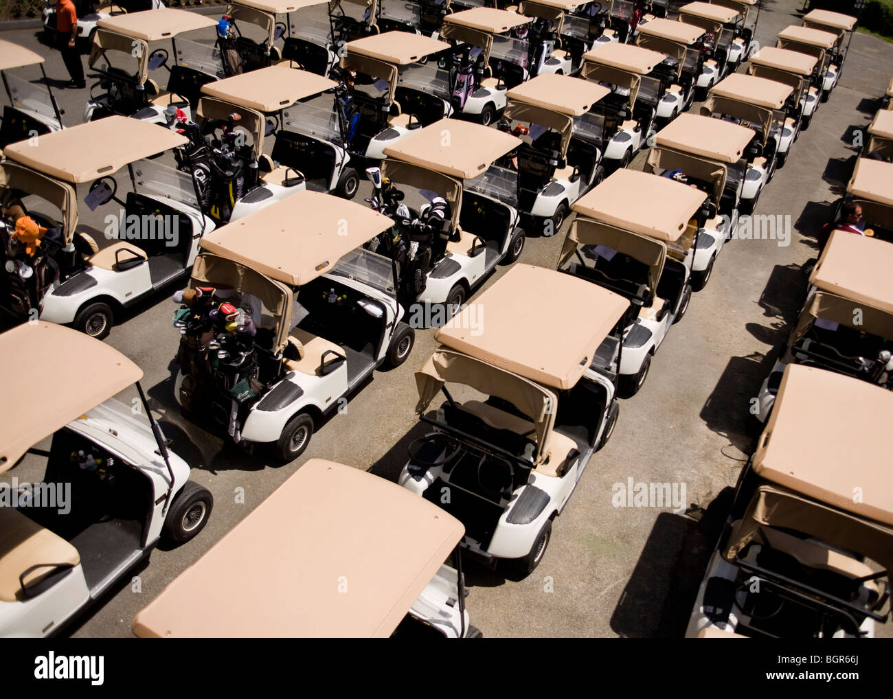 Golf carts lined up Stock Photo