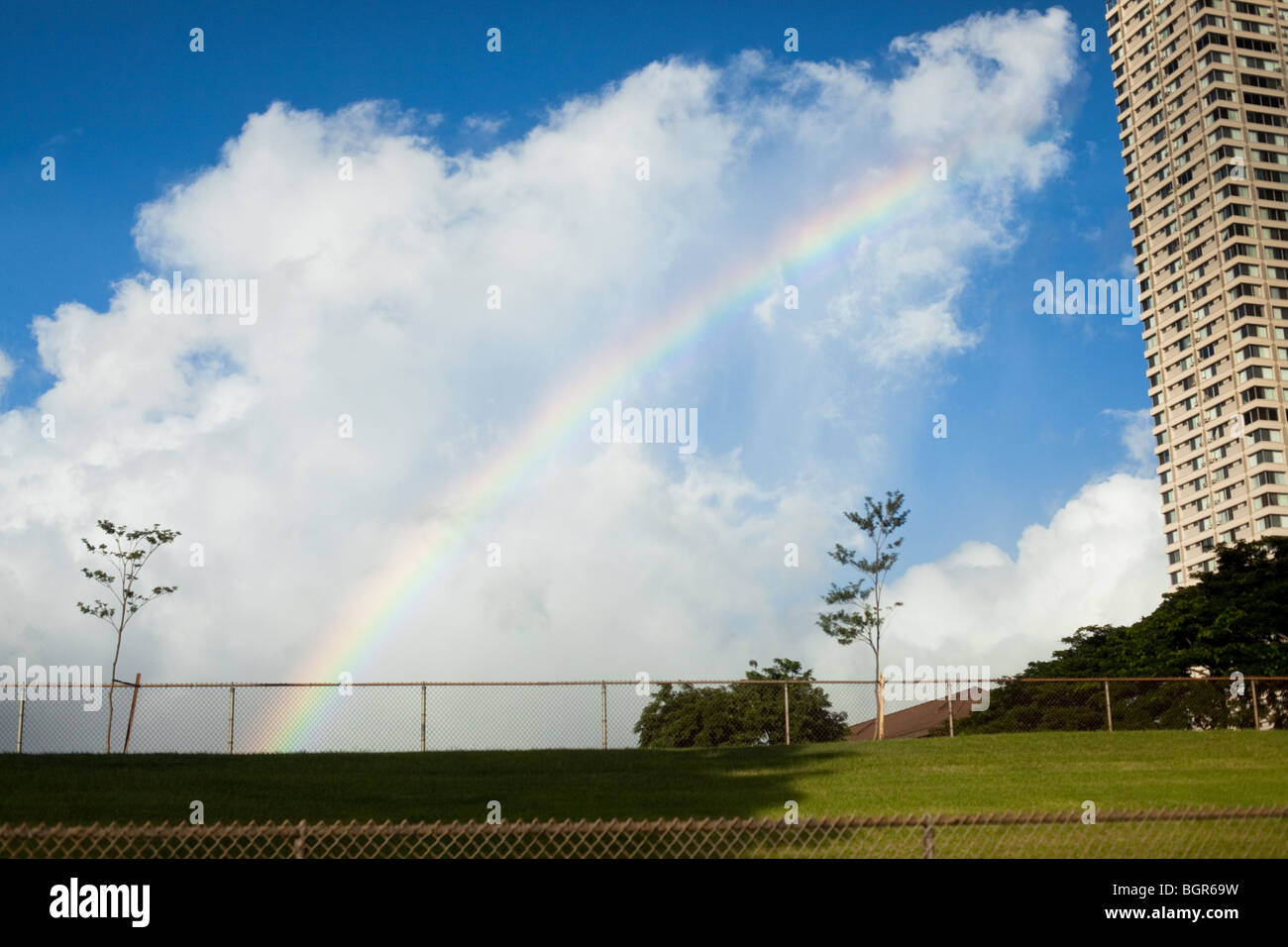 Hawaiian Rainbow Stock Photo