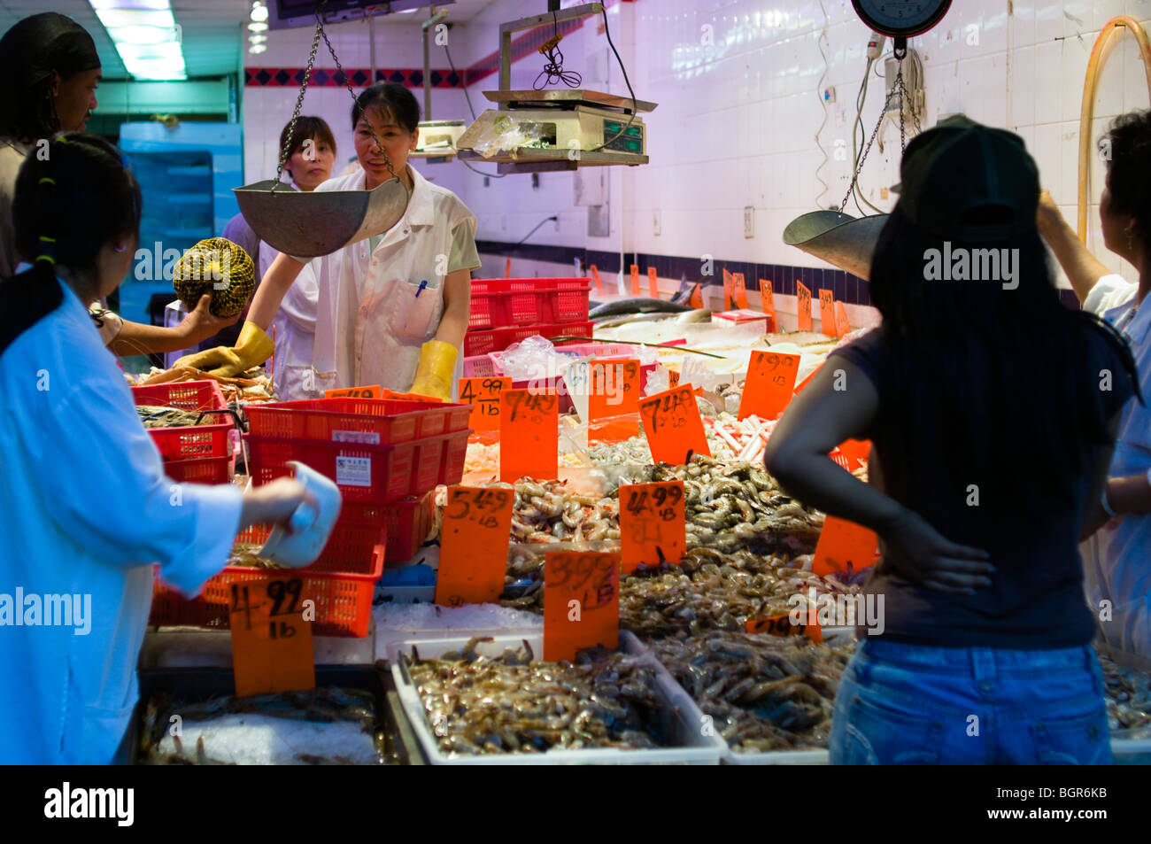 A Chinatown seafood market in New York City Stock Photo Alamy