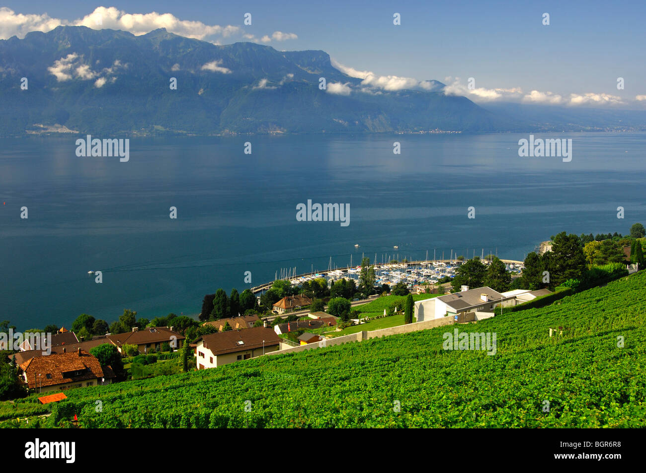 Corseaux at Lake Leman between vineyards and the French Alps, UNESCO World Heritage site Lavaux, Vaud, Switzerland Stock Photo