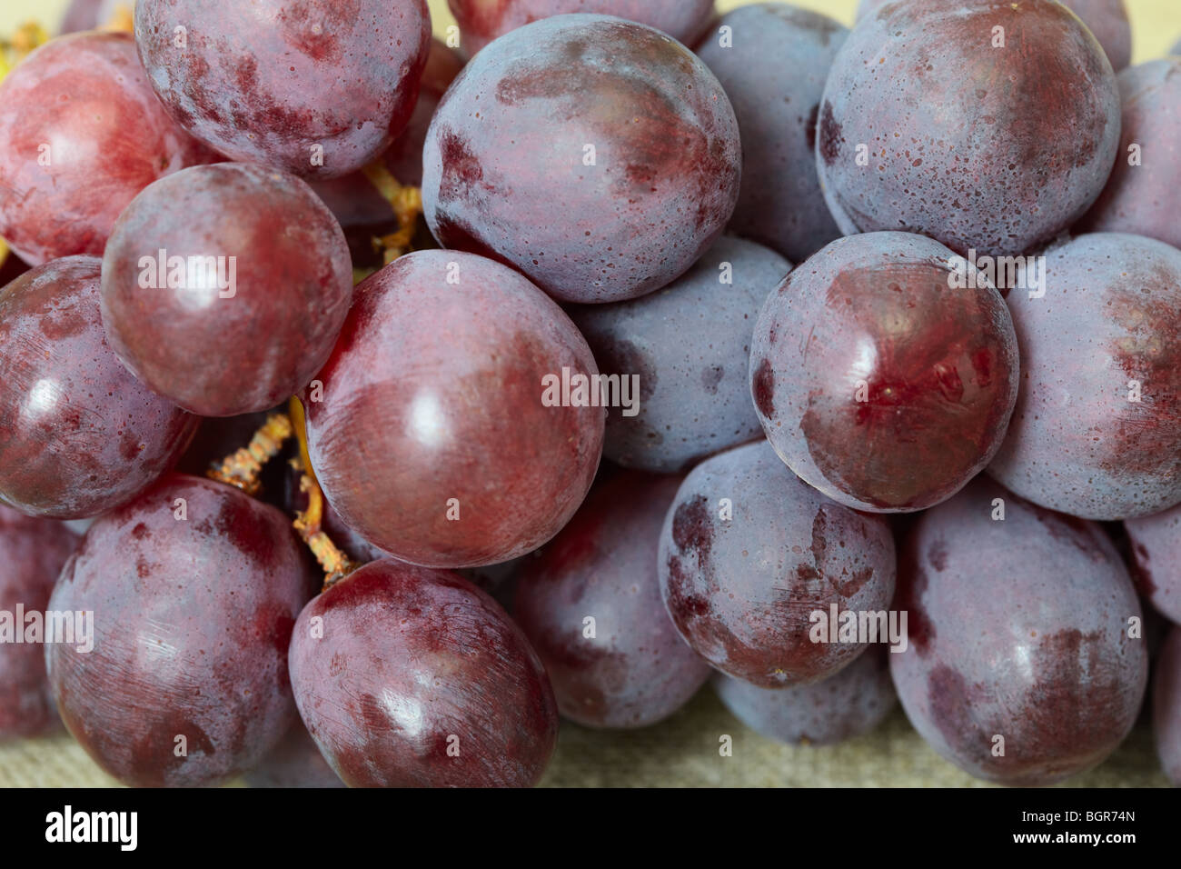 Cluster of red ripe grapes close up Stock Photo