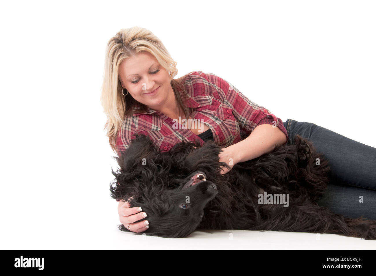 Kelly & Her Spaniel Quincy Stock Photo