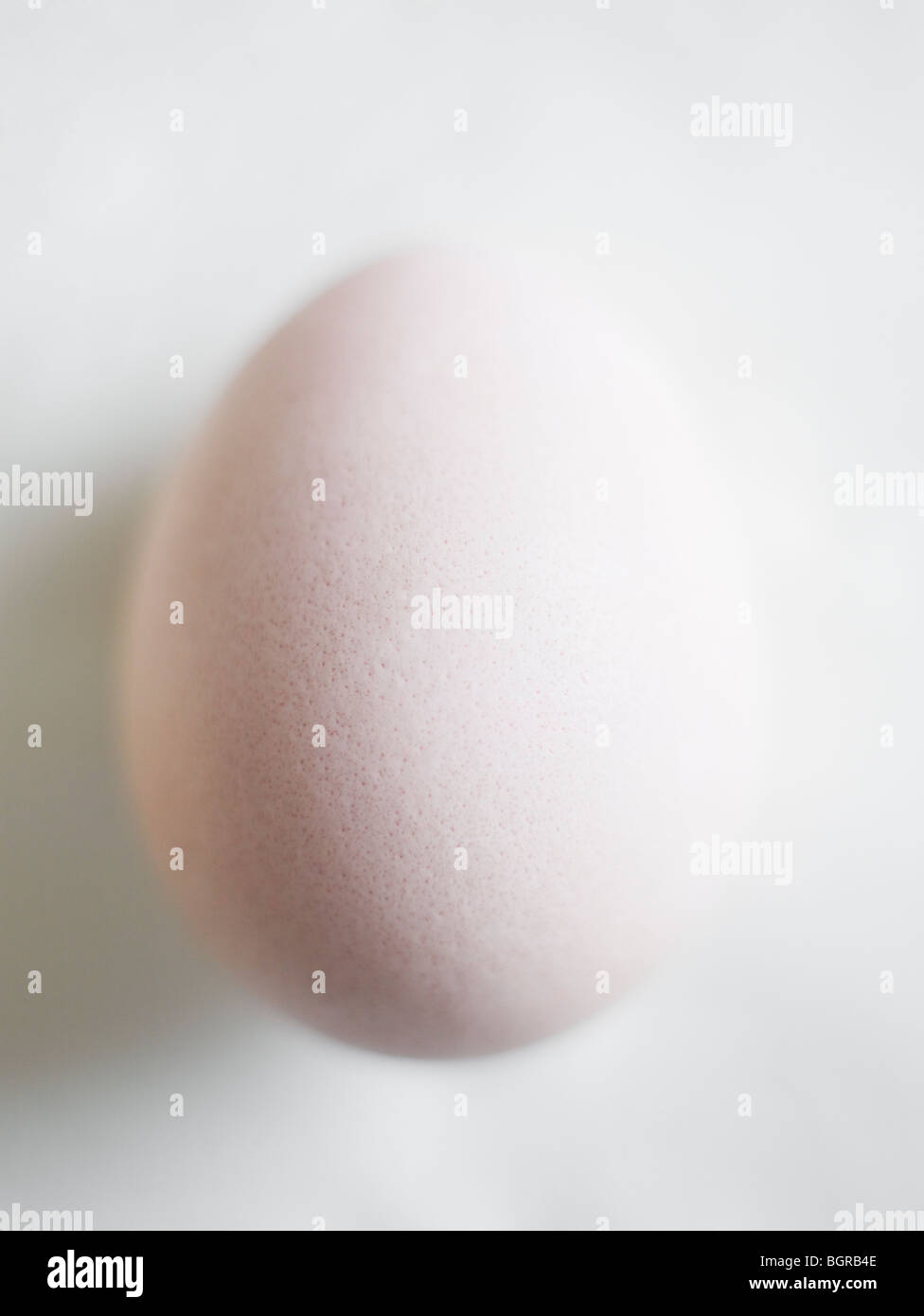 A pink egg Stock Photo Alamy