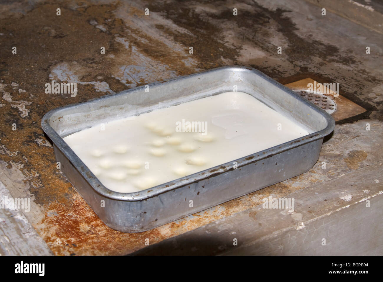 Latex is poured into pans after collection and coagulated using formic acid. Stock Photo