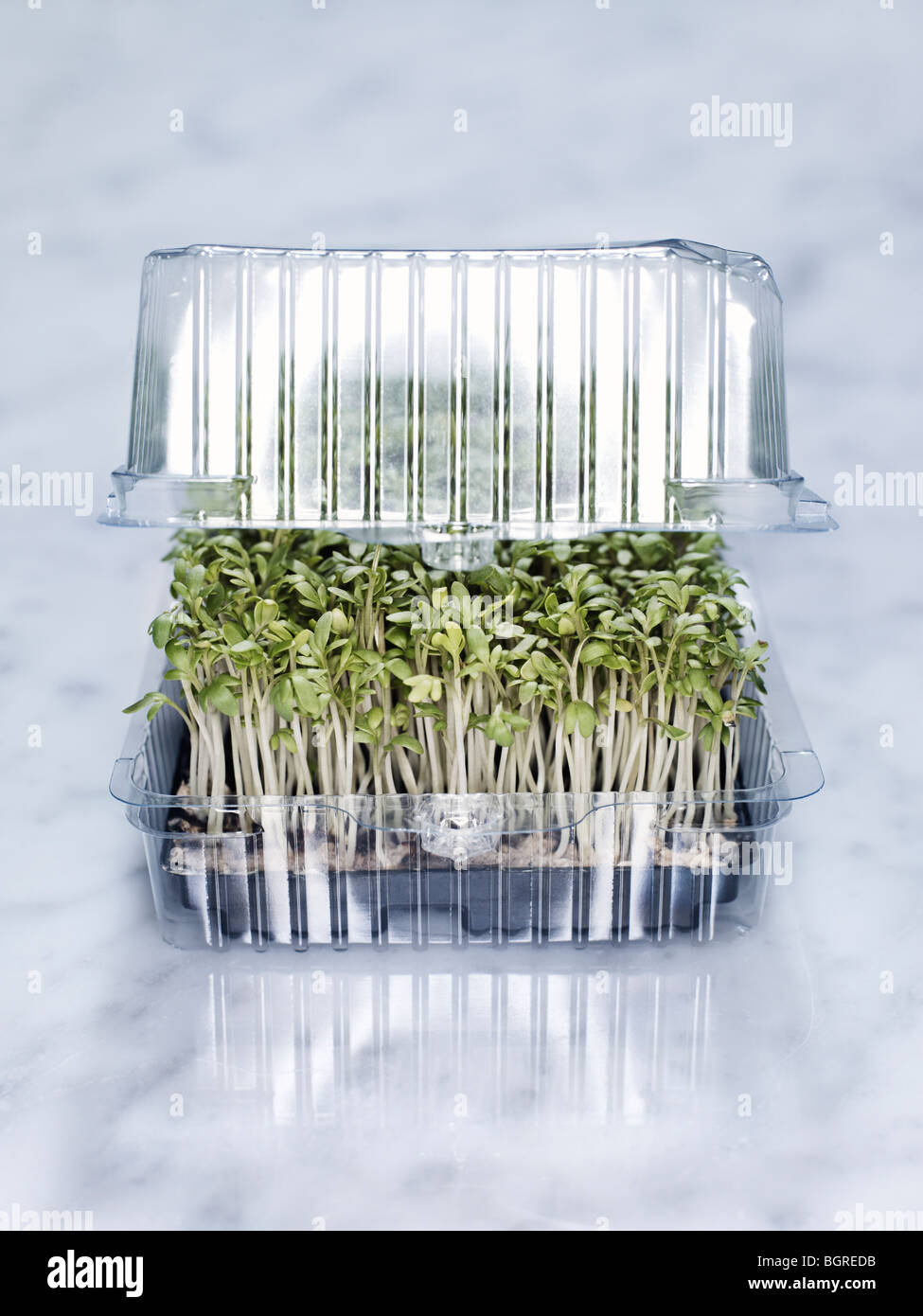 Growing herbs in boxes hi-res stock photography and images - Alamy
