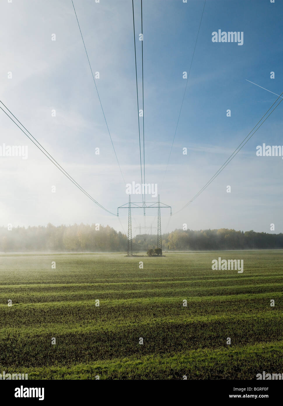 Electric lines above a foggy field, Sweden. Stock Photo