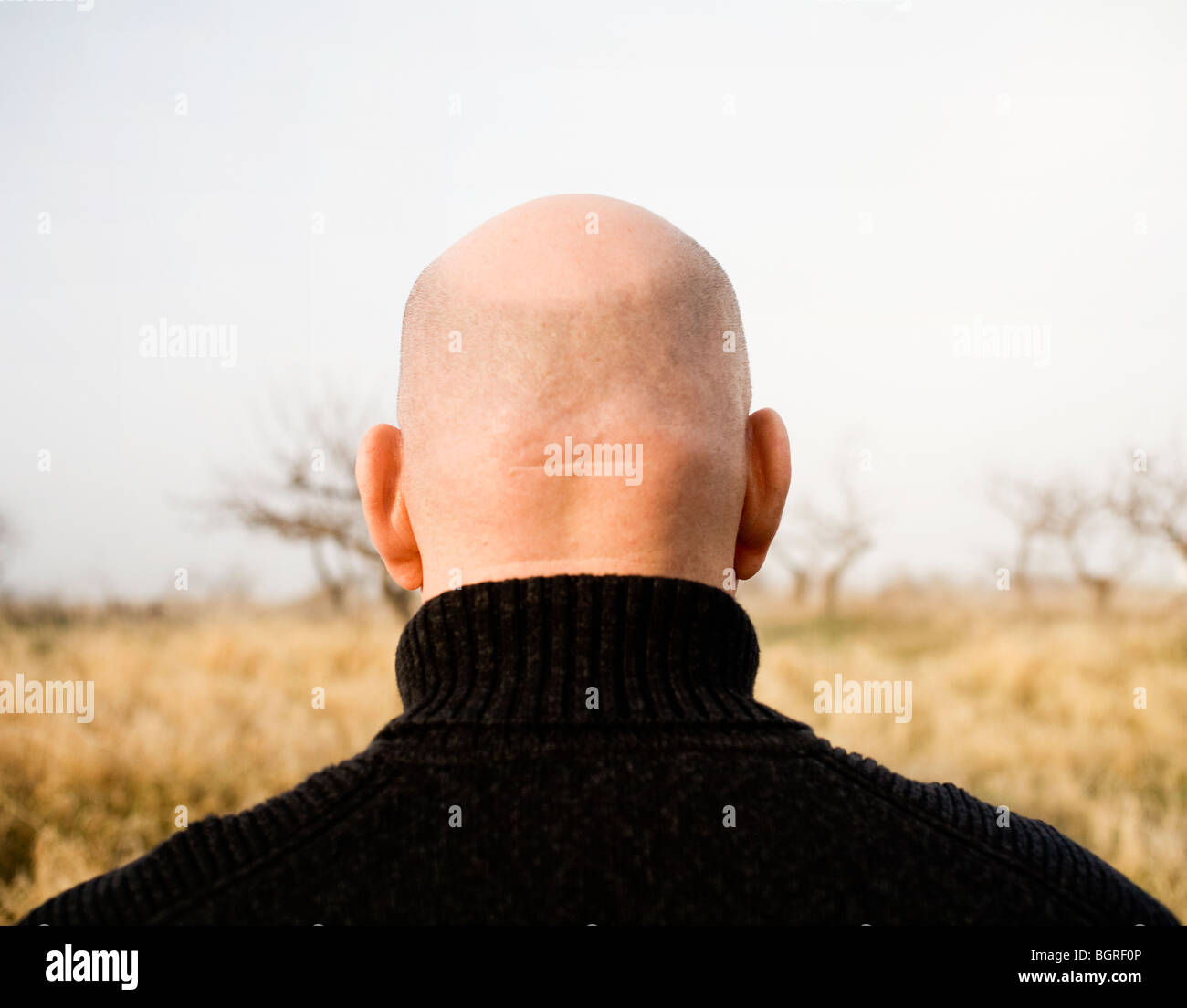 Close-up of a bald head, Sweden. Stock Photo