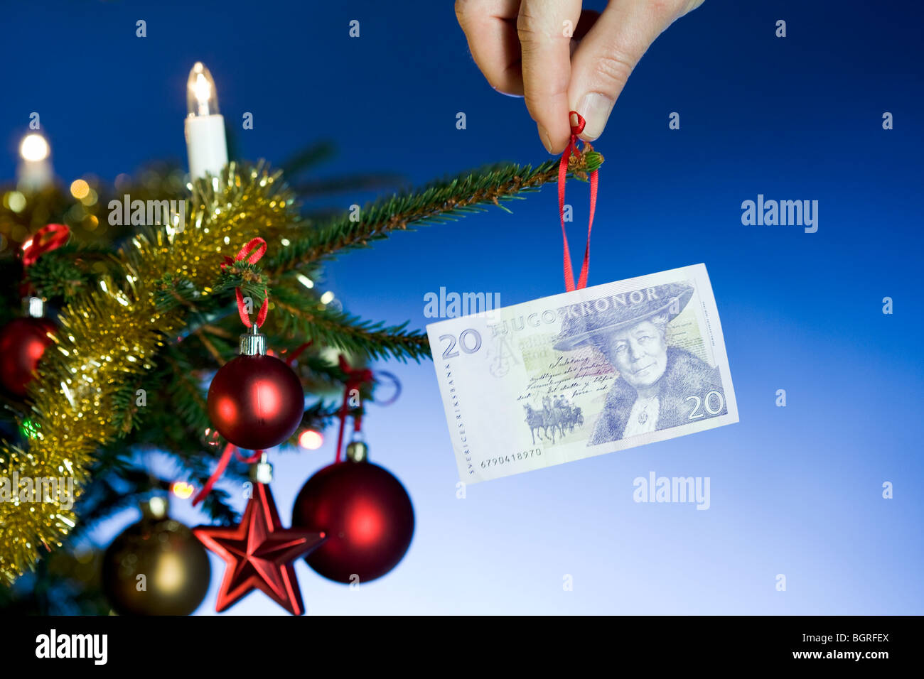 Bill hanging in a Christmas tree Stock Photo Alamy