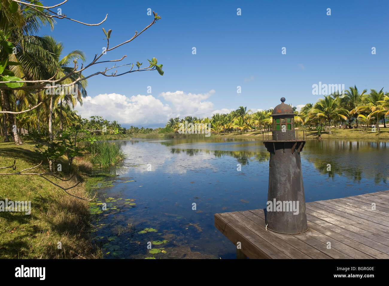 Maroantsetra, Palm Trees, Madagascar Stock Photo Alamy