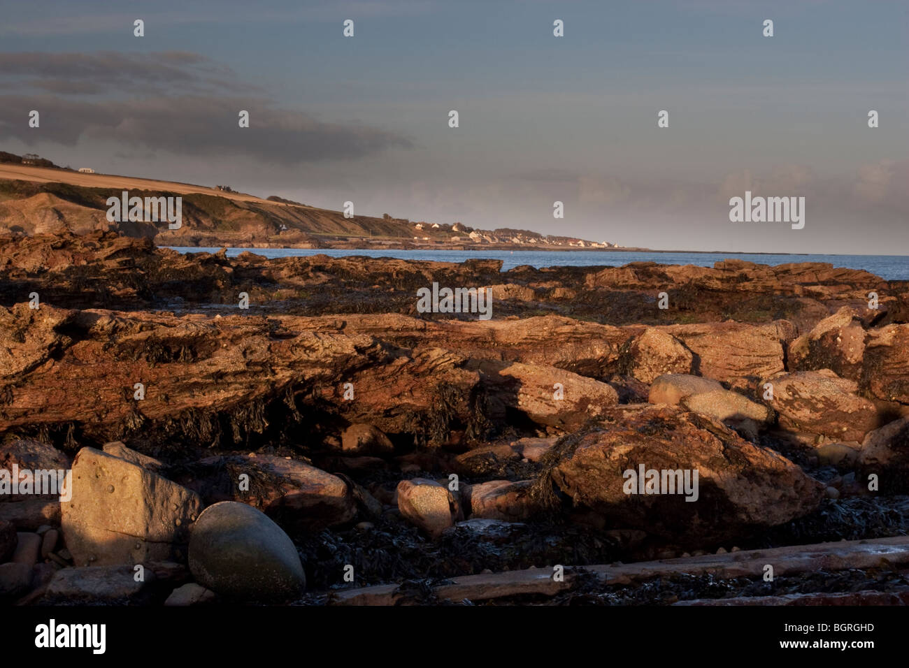 Exposed rocky shore at low tide, Montrose Bay, Scotland Stock Photo