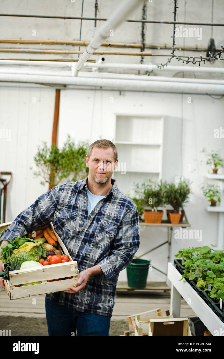 Man carrying a box full of vegetables. Stock Photo
