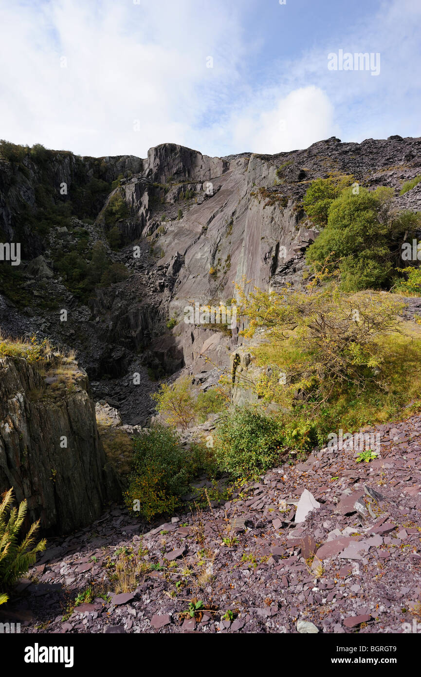 Disused slate quarries of Glyn Rhonwy, Llanberis in  North Wales. Once a munition dump, plans for a ski run have been proposed. Stock Photo