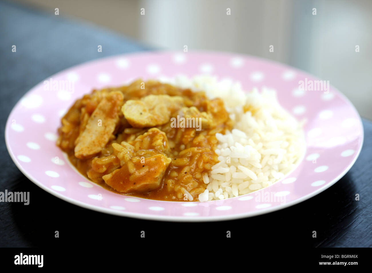 Fresh Indian Style Spicy Chicken Curry With Long Grain Rice with No People Stock Photo