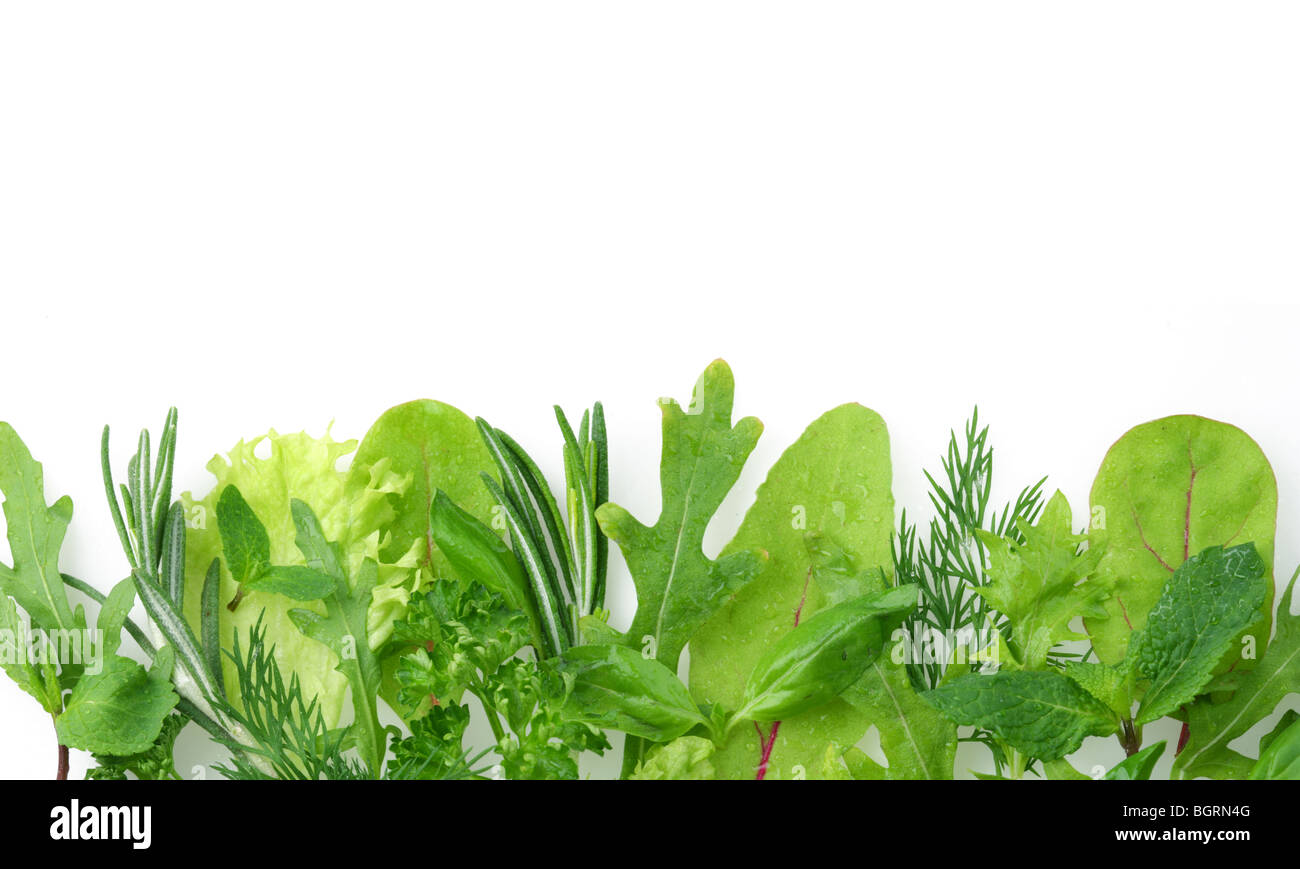 herbs for seasoning on the edge of the image on a white background Stock Photo