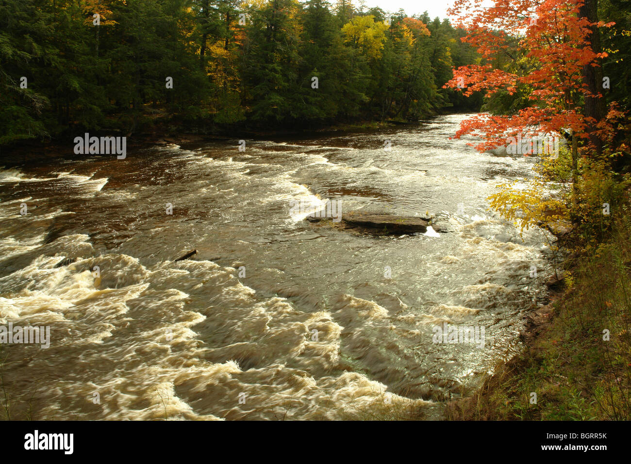 AJD62666, MI, Michigan, Upper Peninsula, Porcupine Mountains Wilderness