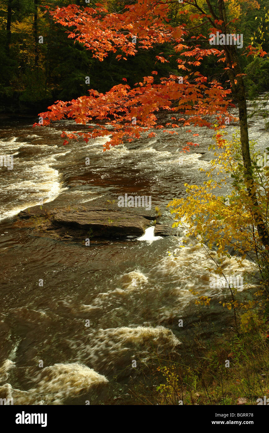 AJD62668, MI, Michigan, Upper Peninsula, Porcupine Mountains Wilderness