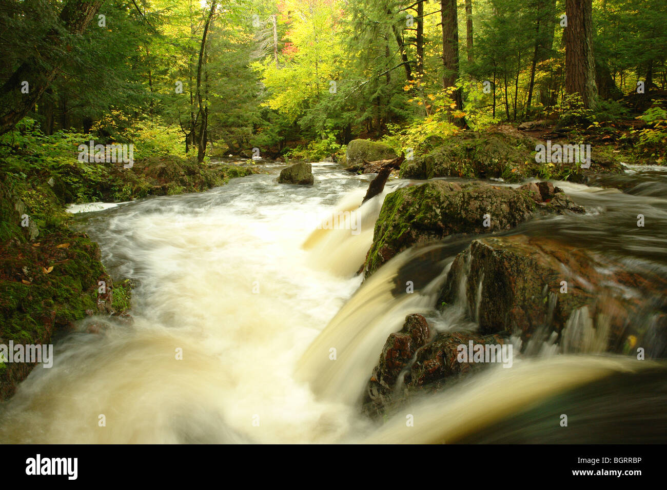 AJD62677, MI, Michigan, Upper Peninsula, Porcupine Mountains Wilderness