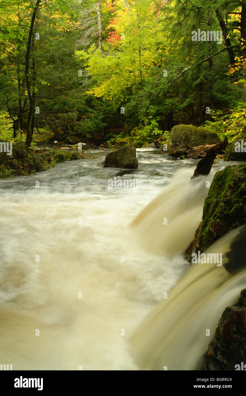 AJD62678, MI, Michigan, Upper Peninsula, Porcupine Mountains Wilderness