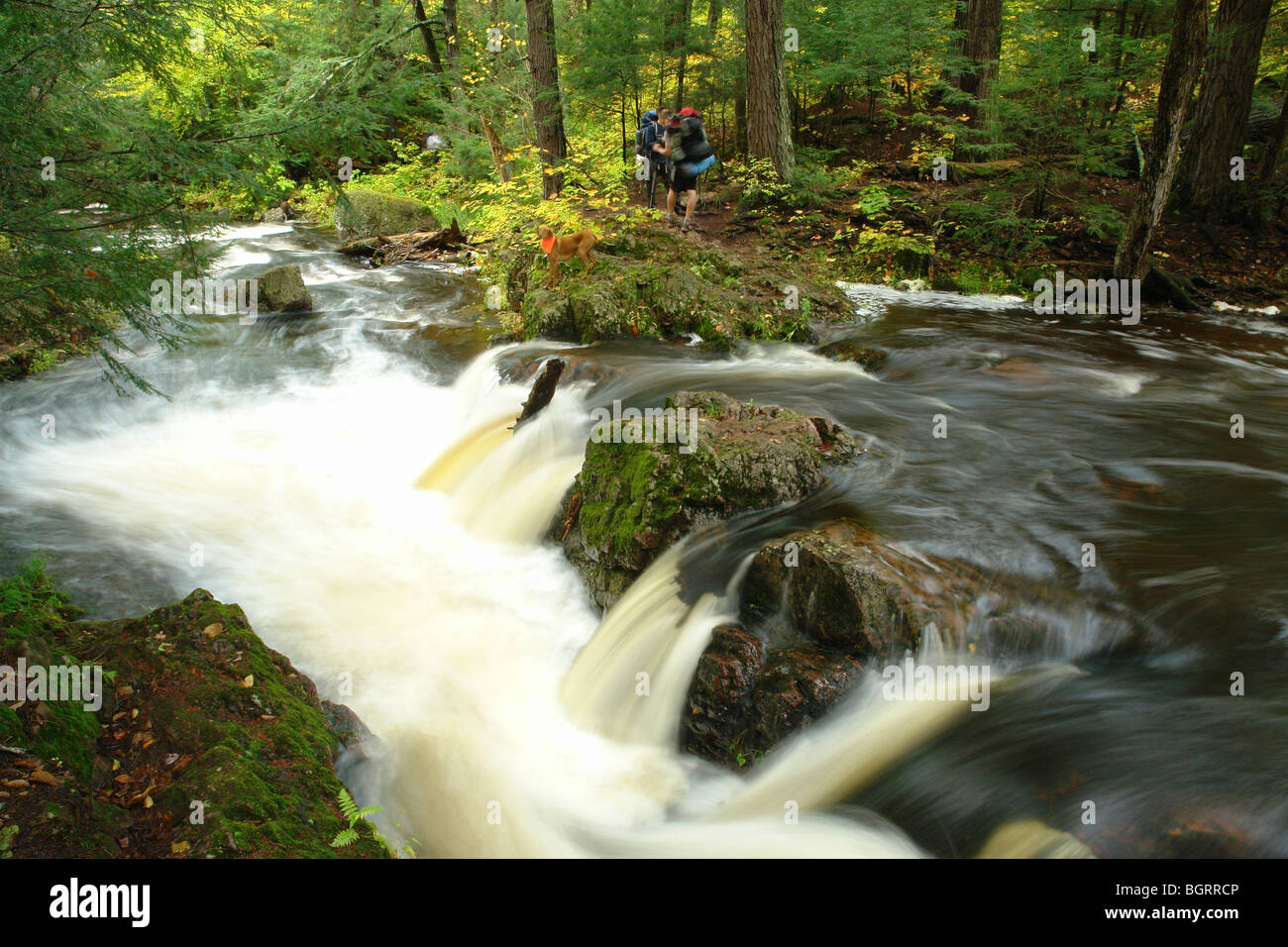 AJD62680, MI, Michigan, Upper Peninsula, Porcupine Mountains Wilderness