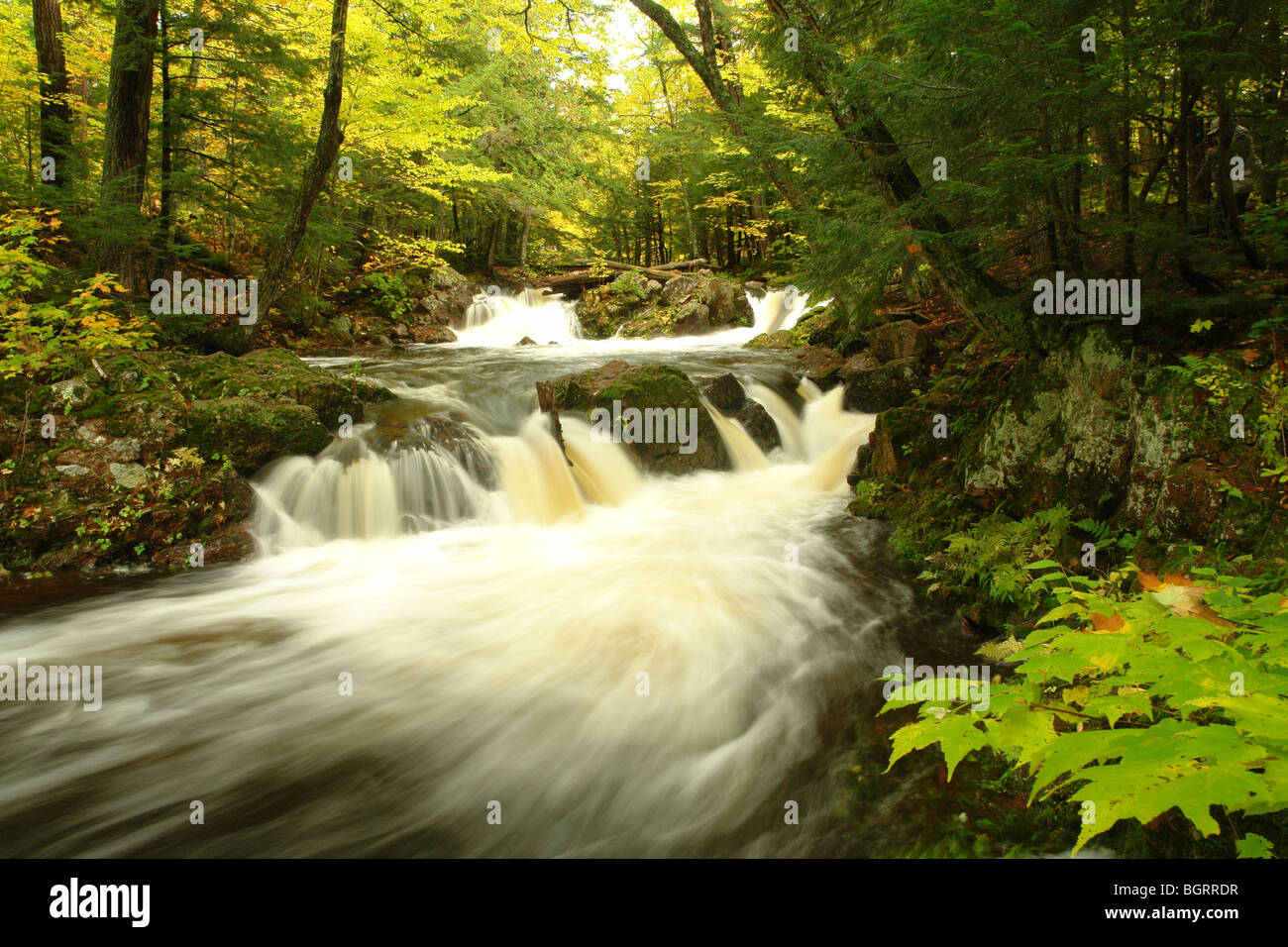 AJD62684, MI, Michigan, Upper Peninsula, Porcupine Mountains Wilderness
