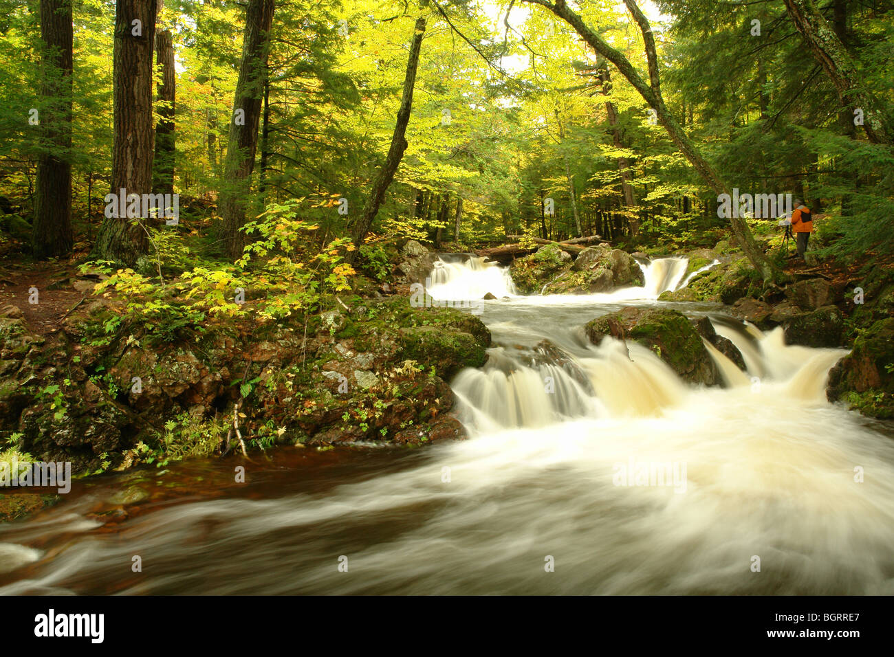 AJD62685, MI, Michigan, Upper Peninsula, Porcupine Mountains Wilderness