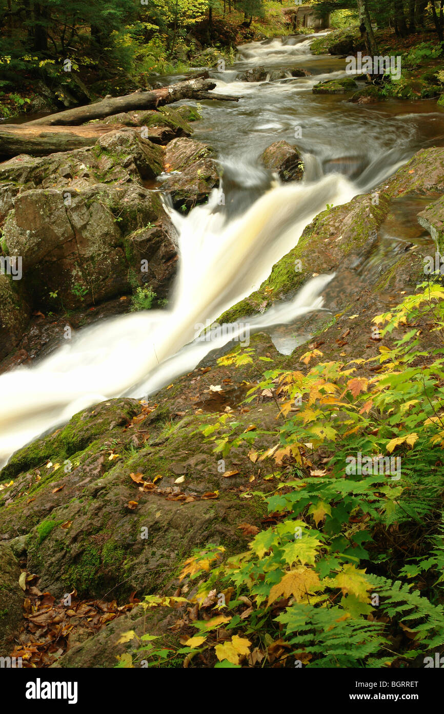 AJD62687, MI, Michigan, Upper Peninsula, Porcupine Mountains Wilderness