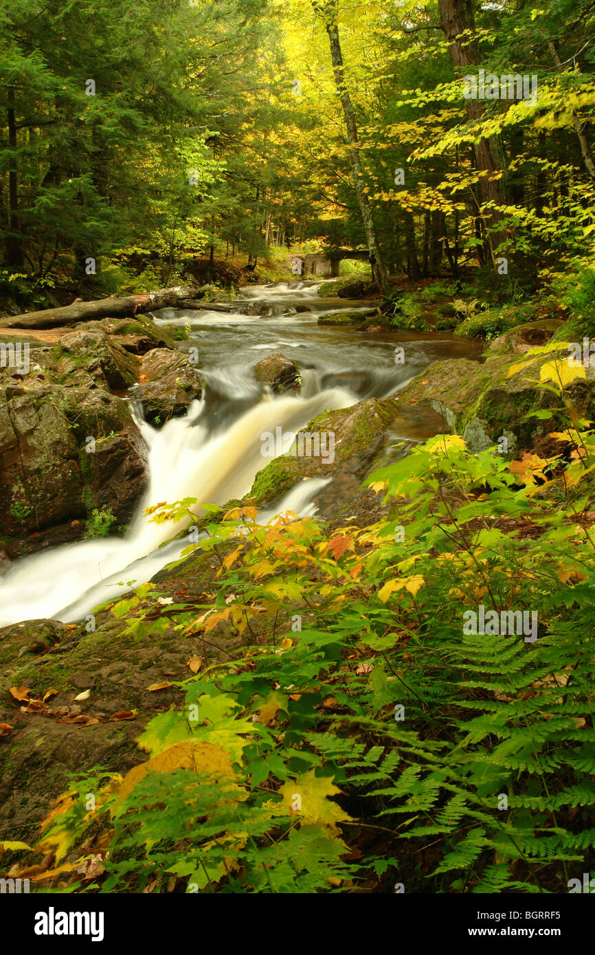 AJD62688, MI, Michigan, Upper Peninsula, Porcupine Mountains Wilderness