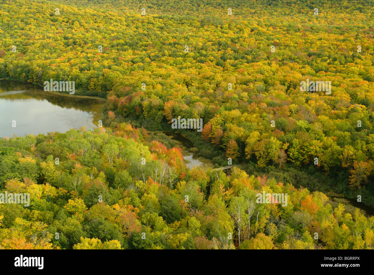 AJD62707, MI, Michigan, Upper Peninsula, Porcupine Mountains Wilderness