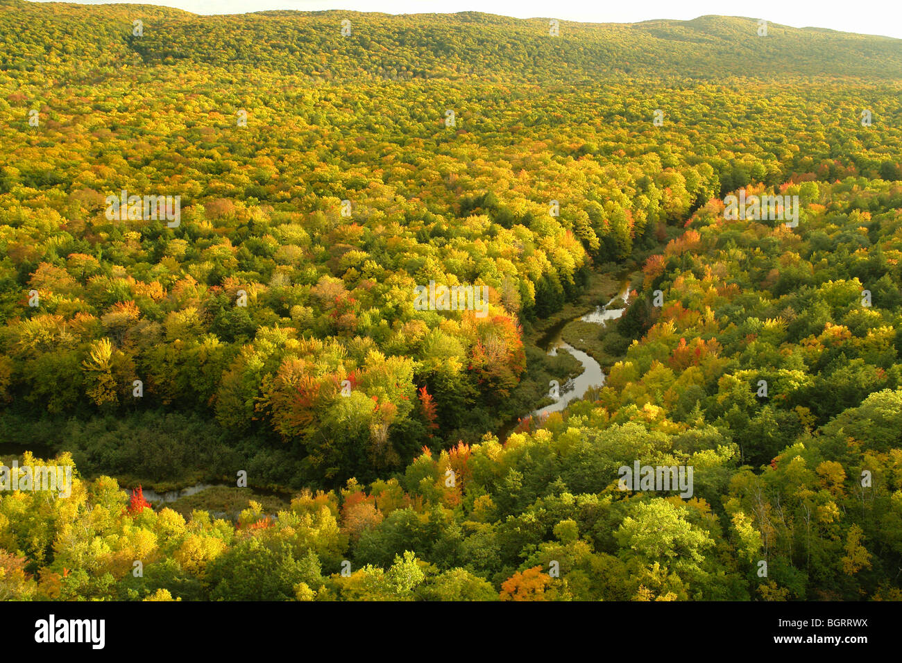 AJD62713, MI, Michigan, Upper Peninsula, Porcupine Mountains Wilderness