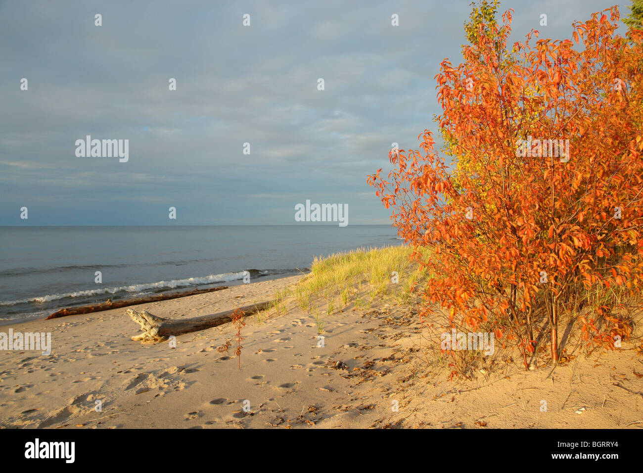 AJD62716, MI, Michigan, Upper Peninsula, Porcupine Mountains Wilderness