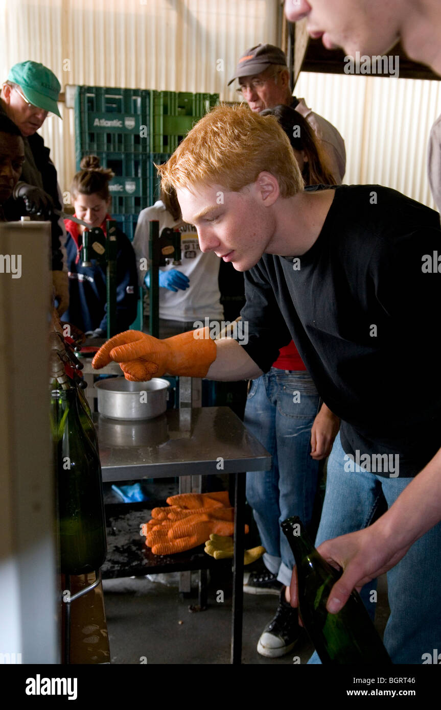 Teenagers helping making apple juice to make some pocket money Stock Photo