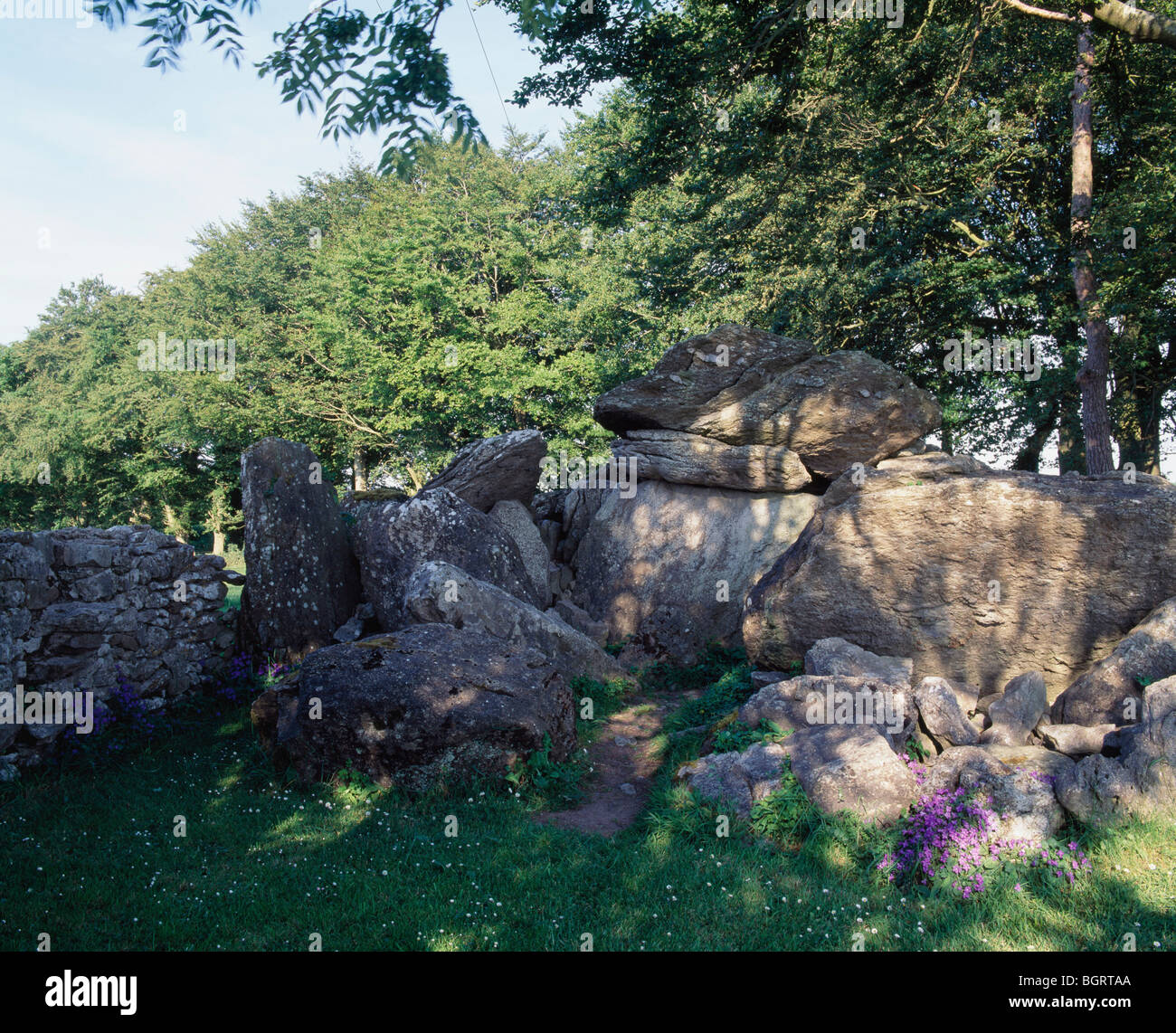 Labbacallee Wedge Tomb, Glanworth, County Cork, Ireland Stock Photo Alamy