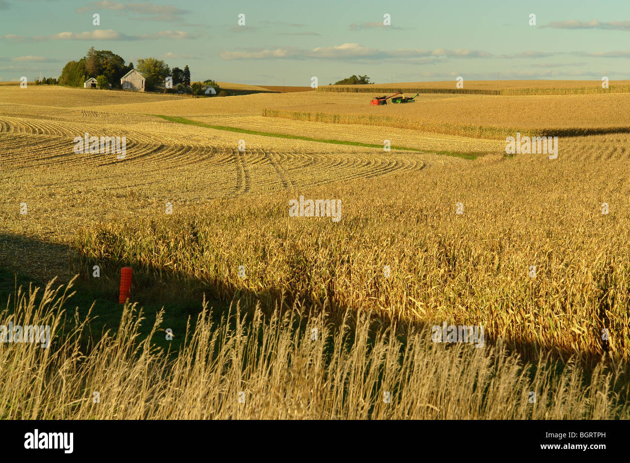 AJD62801, Clayton County, IA, Iowa, cornfield, harvest Stock Photo Alamy